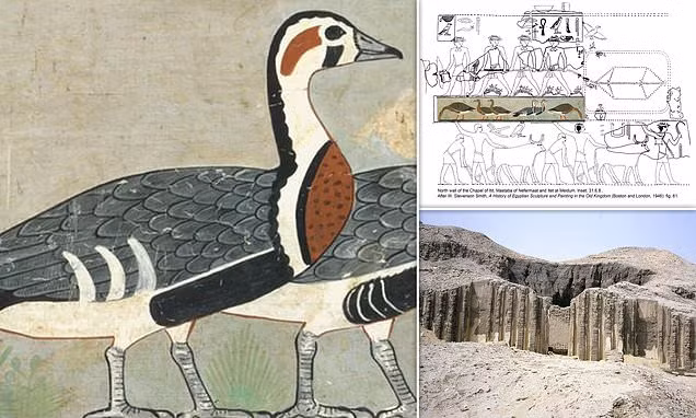 Nhà nghiên cứu Anthony Romilio thuộc Đại học Queensland, Australia mới công bố kết quả nghiên cứu đáng chú ý về bức tranh cổ trên. Theo chuyên gia Romilio, một số con vật trong bức tranh cổ gần 5.000 tuổi là duy nhất, chưa từng được nhìn thấy từ trước đến nay.