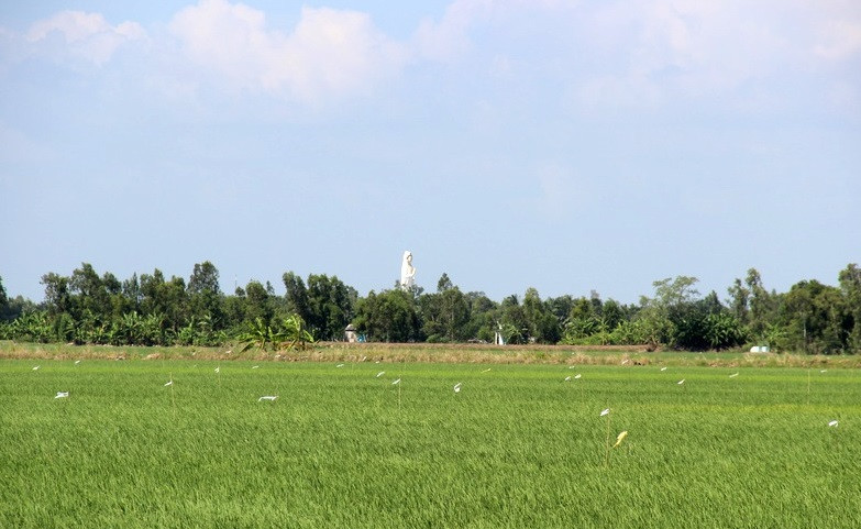 Do đó, mọi người đứng cách xa chùa Hưng Thiện vẫn có thể nhìn thấy bức tượng Phật Quan Âm đứng trên đài sen.