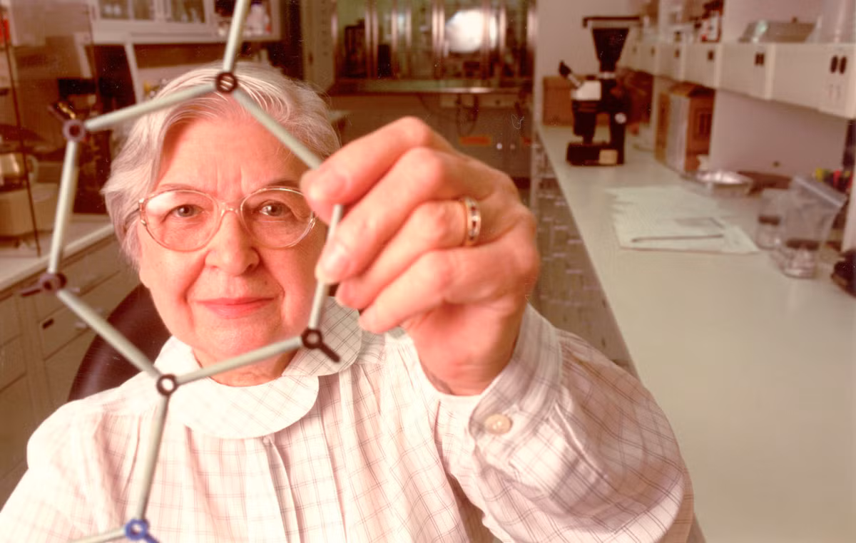 Sau khi được giới thiệu đến công chúng, sáng chế của bà Stephanie được sử dụng rộng rãi trong các sản phẩm khác nhau như áo giáp chống đạn, áo giáp, găng tay gia dụng...