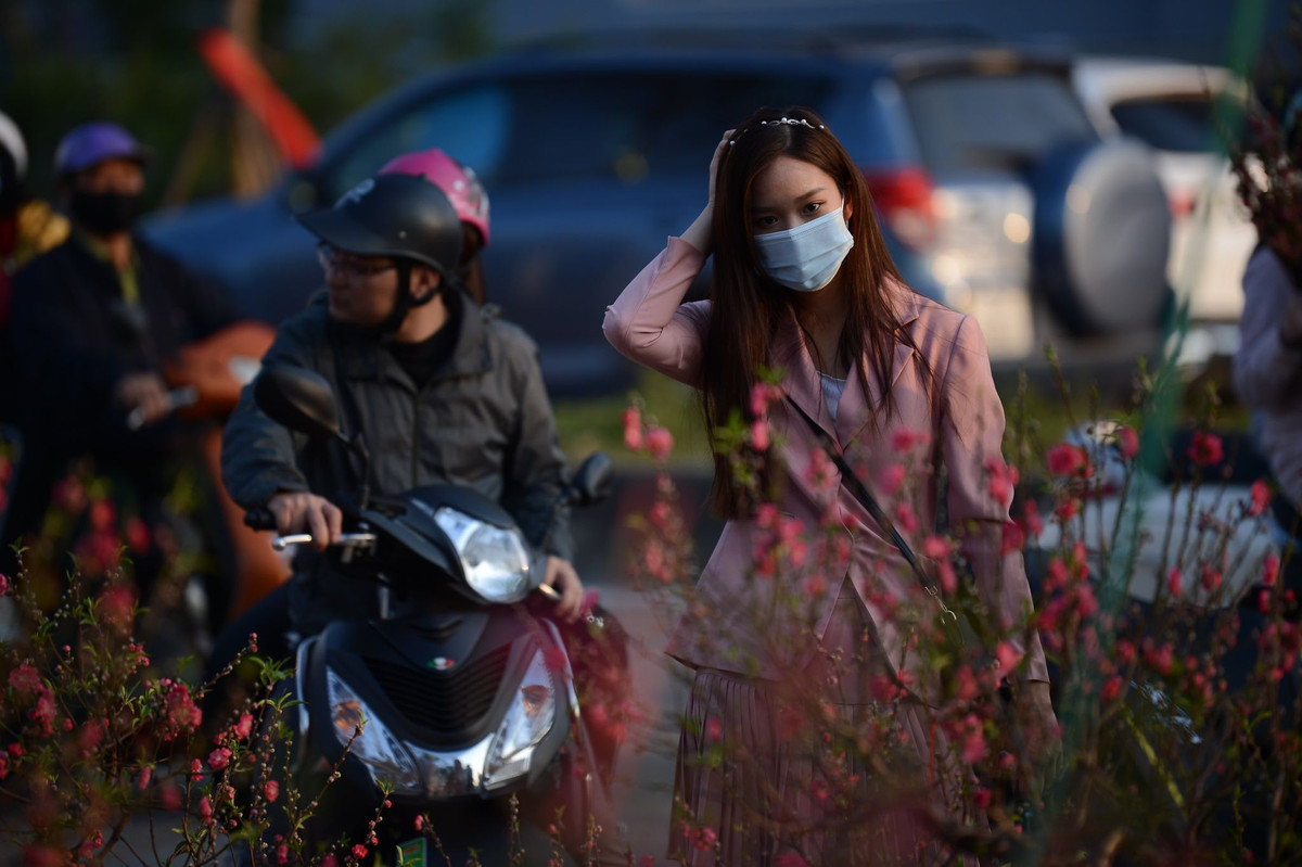 Nhiều chủ buôn đang cố gắng bán những cành đào cuối cùng từ bãi đào Nhật Tân của gia đình. Hai cô cho biết do năm nay Tết ấm, đào bung nở sớm và giá rất rẻ. Một mớ đào dăm chỉ có giá 20.000 đồng, còn một cành đào to cô Hồi bán 300.000 đồng nhưng cũng không ai mua