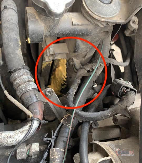 Ngam dang nuot cay vi mua o to qua mang-Hinh-2