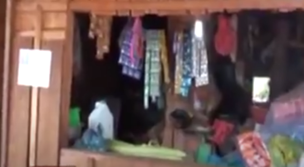 Nhận được tin báo về vụ án trên, lãnh đạo Công an tỉnh Đắk Lắk và các phòng nghiệp vụ đã khẩn trương xuống nơi khám nghiệp hiện trường, xác minh điều tra ban đầu. Qua khám nghiệm tử thi cho thấy bà Tiến bị giết chết vào khoảng 1h sáng với 34 vết đâm vào mặt, cổ, tay, và 2 bên nách.