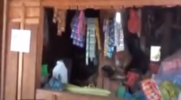 Nhận được tin báo về vụ án trên, lãnh đạo Công an tỉnh Đắk Lắk và các phòng nghiệp vụ đã khẩn trương xuống nơi khám nghiệp hiện trường, xác minh điều tra ban đầu. Qua khám nghiệm tử thi cho thấy bà Tiến bị giết chết vào khoảng 1h sáng với 34 vết đâm vào mặt, cổ, tay, và 2 bên nách.