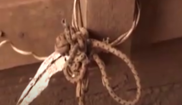 Cũng qua khám nghiệm hiện trường cho thấy, bọn cướp đã cắt dây cửa quán đột nhập vào phía trước và mở các tấm cửa luồn phía sau để dắt xe đi. Còn hung khi con dao gây án không thấy tại hiện trường, ngoài ra không có một nhân chứng, không ai gần, xa hay biết gì về vụ việc trên.