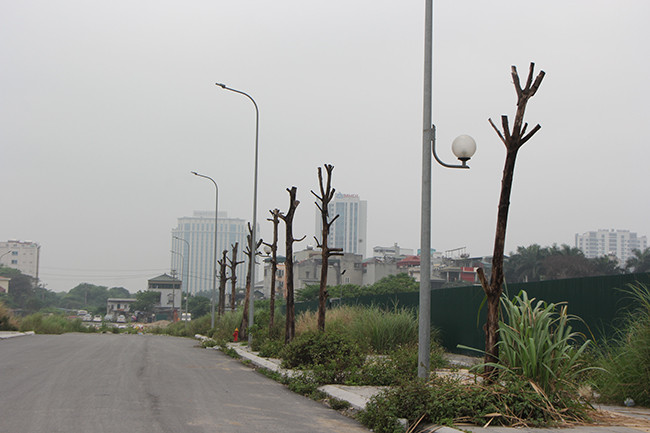 Trong đó, đoạn giữa dài hơn 3,5 km từ đường Lê Đức Thọ tới đường Quốc lộ 70 (nay là đường Trần Hữu Dực và Trịnh Văn Bô) với tổng mức đầu tư hơn 1.500 tỷ đồng đã được thông xe từ năm 2017.