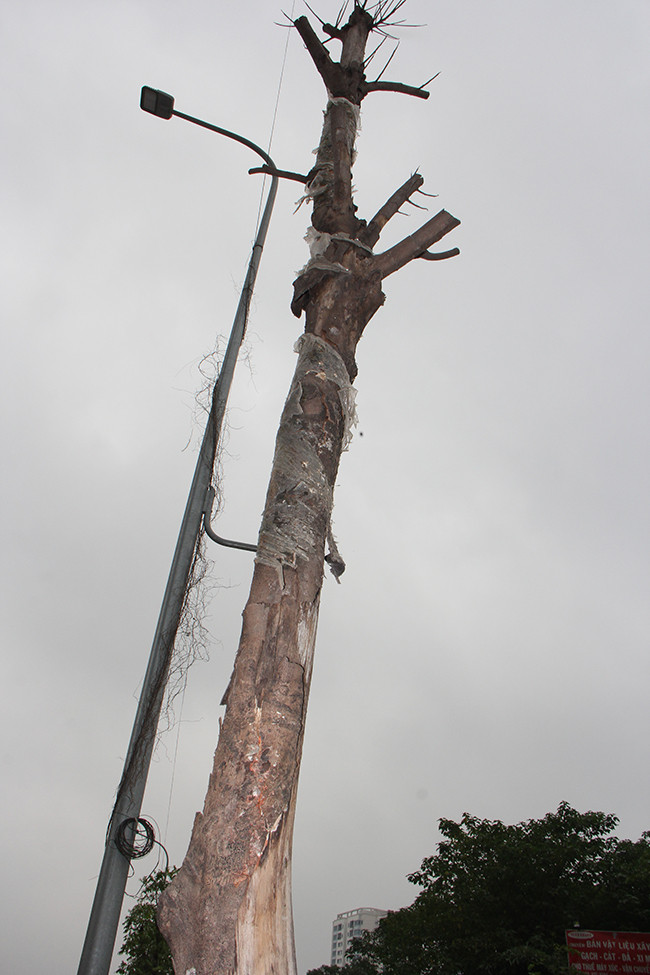 Theo tìm hiểu, dự án đường nối giữa đường Phạm Hùng (vành đai 3) với vành đai 3,5 đi huyện Hoài Đức ( Hà Nội) có tổng chiều dài là 6 km, dự kiến thông toàn tuyến vào năm 2021. 