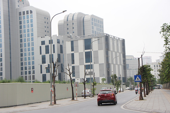 Một người dân thường đi qua nơi đây cho biết, hàng cây sấu hai bên đường chết khô mà thấy xót xa, nuối tiếc. Vì cách đây mấy năm khi mới trồng cây cũng có mầm có lá, chắc do không được tưới nước chăm sóc nên cây chết khô dần.