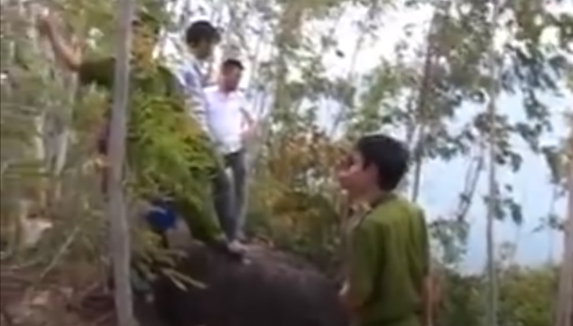 \Cơ quan Công an và người thân, hàng trăm sinh viên nỗ lực tìm kiếm tại địa điểm mà tên Cửu khai đã bỏ cháu bé tuy nhiên không tìm thấy. Tiếp tục đấu tranh tung tích cháu bé, đến chiều 13/11/2011, biết không thể giấu được nữa Cửu mới khai nhận hành vi tàn ác của mình.