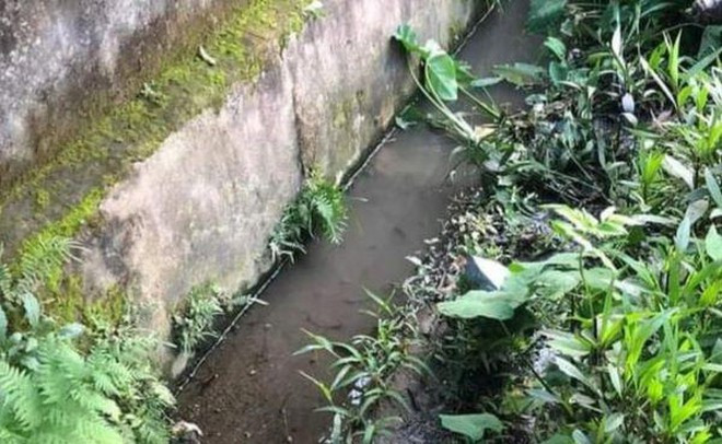  Đến trường đón con, người đàn ông ngã xuống mương tử vong: Ngày 20/4, Công an huyện Nam Đàn, Nghệ An cho biết, chiều 19/4, ông P.V.H. (51 tuổi, người địa phương) đến trường đón con sau buổi thi, ông H. không may ngã xuống mương nước và tử vong. Hiện vụ việc đang được cơ quan chức năng điều tra, làm rõ. 