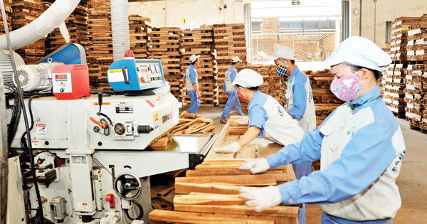  Doanh nghiệp chế biến, xuất khẩu gỗ đăng ký phân loại doanh nghiệp bằng 2 hình thức: Thông tư 21/2021/TT-BNNPTNT quy định phân loại doanh nghiệp chế biến và xuất khẩu gỗ, có hiệu lực từ ngày 1/5/2022. Theo đó, doanh nghiệp chế biến, xuất khẩu gỗ đăng ký phân loại với cơ quan tiếp nhận bằng một trong hai hình thức sau: (Ảnh minh họa) 