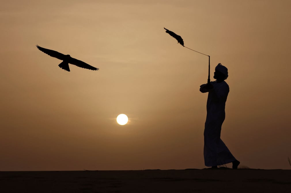 Người đàn ông huấn luyện chim đại bàng trên sa mạc ở Al-Dhafra, UAE. (Nguồn Guardian)