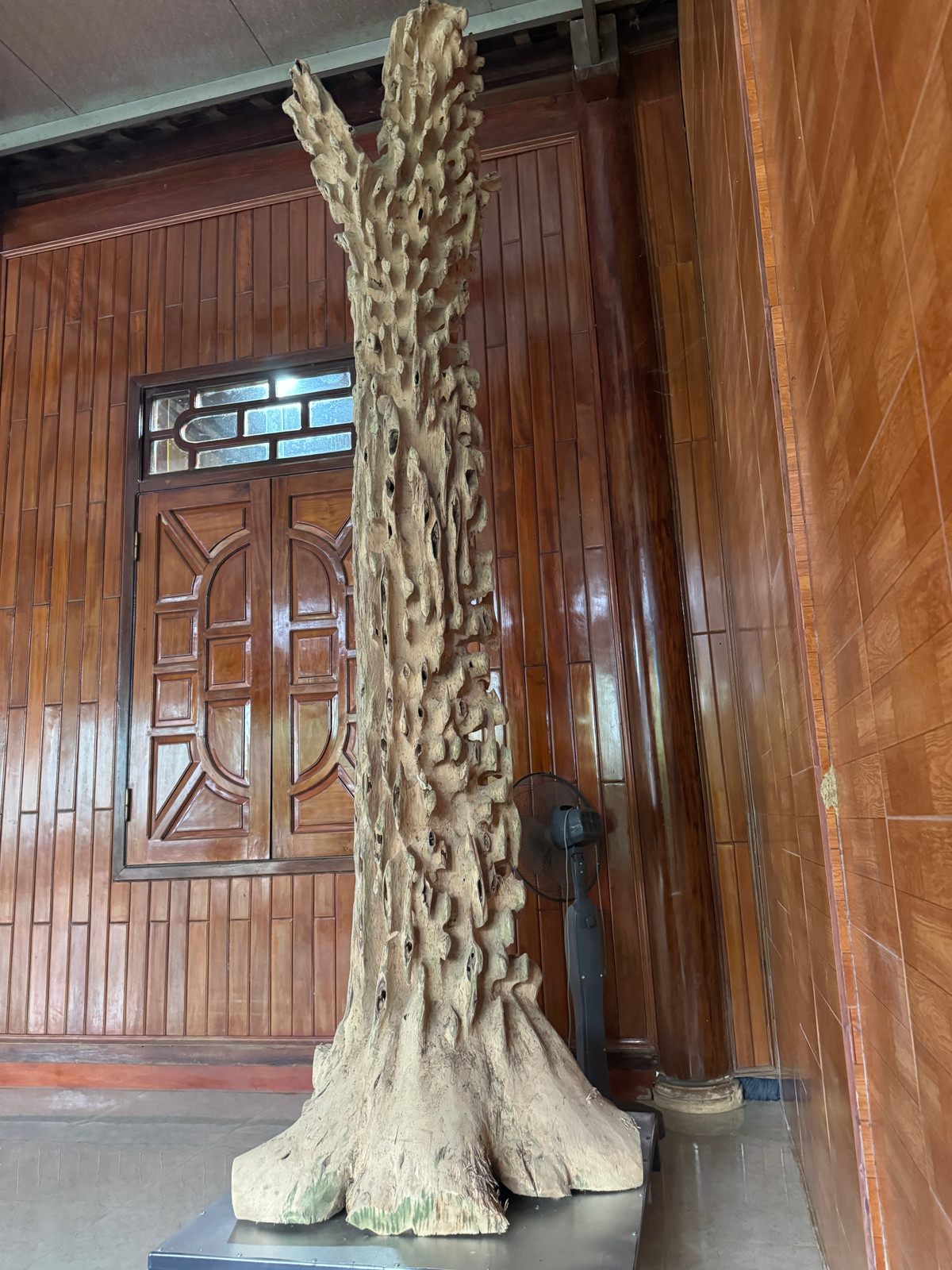 Ông Võ Văn Việt, Phó chủ tịch Hội nông dân xã Phúc Trạch cho hay: “Hiện tại gần 2.000 hộ dân trong xã đều trồng cây dó trầm, với diện tích trên 300ha. Cây dó trầm là một trong những loại cây kinh tế chính của địa phương, nghề làm hương trầm xuất hiện thời gian sau này, nhưng nhiều cơ sở sản xuất hương đã tiêu thụ rộng rãi khắp cả nước, đem lại thu nhập cao cho người dân trong dịp Tết”.