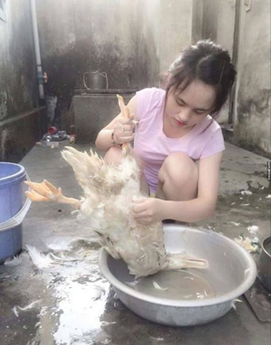 Một hot girl 9X khác cũng bất ngờ nổi tiếng nhờ vào khoảnh khắc đặc biệt trong đời sống thường ngày đó chính là "thánh nhổ lông vịt" Nguyễn Thị Nguyệt, sinh năm 1995 tại Quảng Ninh, hiện đang học tập tại Hà Nội. Nguyễn Thị Nguyệt được cộng đồng mạng biết đến với bức ảnh chụp lén khi cô đang ngồi làm lông vịt.