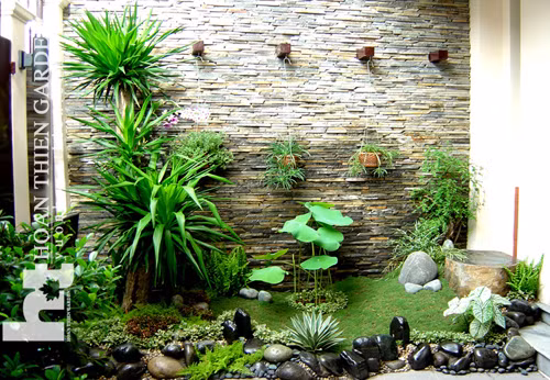 Nhung luu y khi bo tri tieu canh nuoc trong san vuon