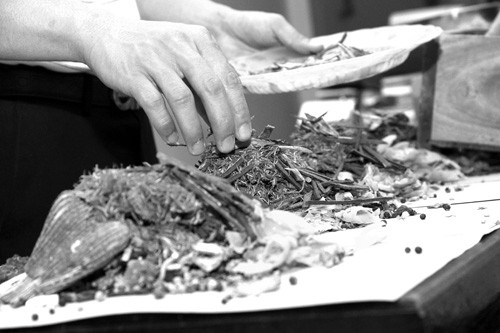 Phuong thuoc giai benh ung thu da day