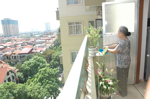 Phong thuy: Khong trong qua nhieu cay o ban cong chung cu