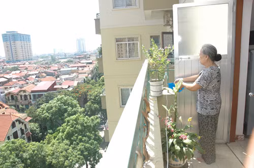 Phong thuy: Khong trong qua nhieu cay o ban cong chung cu