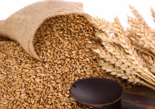 Ngũ cốc nguyên hạt. Thay vì ăn các loại hạt đã được tinh chế bóc vỏ trắng, ngũ cốc nguyên hạt còn lớp cám ở bên ngoài là sự lựa chọn tuyệt vời bởi chúng có chứa chất xơ giúp cơ thể no lâu hơn, giáo sư Melinda Johnson, chuyên gia dinh dưỡng hàng đầu tại Đại học bang Arizona cho biết.