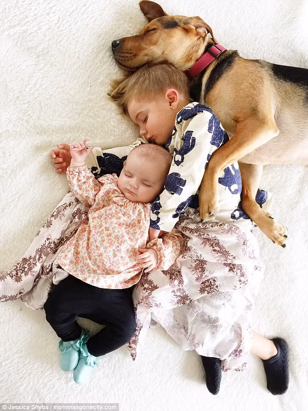 Cậu nhóc, cún cưng và em gái đang say giấc nồng.