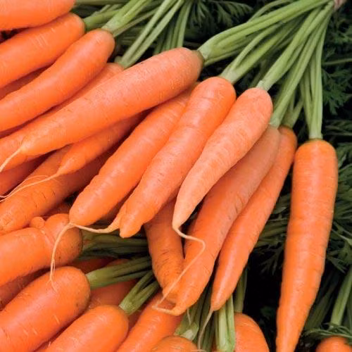  Cà rốt. Cà rốt được biết đến như một loại củ giàu vitamin A và chất chống oxy hóa khác có thể giữ cho làn da của bạn khỏe mạnh, tươi tắn và rực rỡ ngay cả trong những ngày mùa đông khắc nghiệt. Nó cũng giúp ngăn ngừa các dấu hiệu lão hóa như nếp nhăn, nám và da không đều màu. 