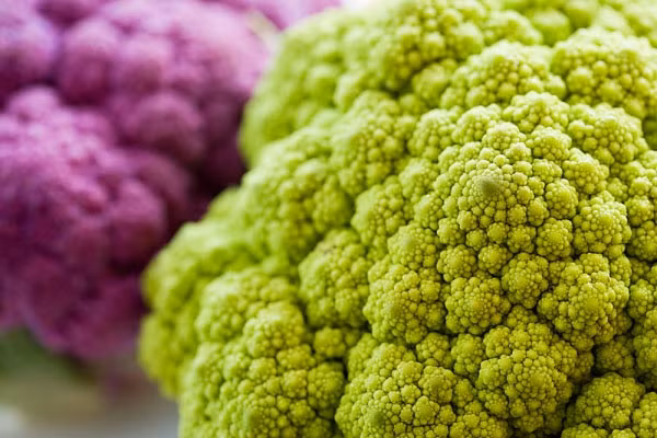  Súp lơ. Súp lơ rất giàu chất chống oxy hóa, giúp đảo ngược quá trình lão hóa ở phụ nữ. Các chất chống oxy hóa trong súp lơ phá hủy các gốc tự do, làm chậm quá trình lão hóa. Hãy bổ sung súp lơ trong chế độ ăn của bạn để có được một làn da tươi trẻ hơn. 