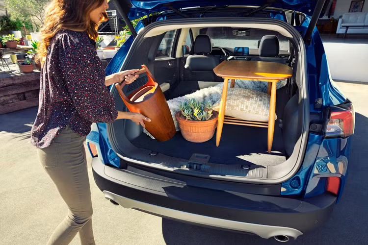 Khi hoạt động với động cơ xăng hoàn toàn, chiếc Escape PHEV 2020 sẽ tốn khoảng 5,7 lít xăng để đi 100 km đường hỗn hợp. Tuy con số đó không quá thấp nhưng đây vẫn được đánh giá là một chiếc xe ấn tượng khi sở hữu quãng đường đi được bằng điện cao hơn đến 17,8 km so với chiếc Ford Fusion Energi. Ngoài ra, chiếc SUV này còn sở hữu khoang hành lý lớn hơn ở phía sau cũng như băng ghế thứ hai rộng rãi hơn so với Fusion Energi.