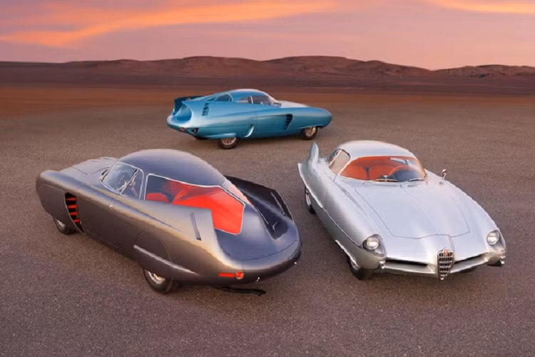  Thương hiệu Alfa Romeo vừa kỷ niệm sinh nhật 110 tuổi hồi đầu năm. Hãng xe Italy đã có một lịch sử hoành tráng với rất nhiều mẫu xe giá trị.