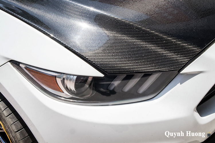 Lược bỏ logo "ngựa hoang" chính hãng, biểu tượng "rắn hổ mang” trên mẫu Shelby Mustang Super Snake được gắn lên chiếc xe mang đến sự uy lực như chính nguyên mẫu của logo này. Hơn nữa, mặt ca-lăng của xe cũng được chia lại thành 3 khoang rất độc đáo giống dòng xe hiệu năng cao Shelby Mustang Super Snake.