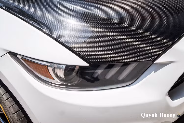 Lược bỏ logo "ngựa hoang" chính hãng, biểu tượng "rắn hổ mang” trên mẫu Shelby Mustang Super Snake được gắn lên chiếc xe mang đến sự uy lực như chính nguyên mẫu của logo này. Hơn nữa, mặt ca-lăng của xe cũng được chia lại thành 3 khoang rất độc đáo giống dòng xe hiệu năng cao Shelby Mustang Super Snake.