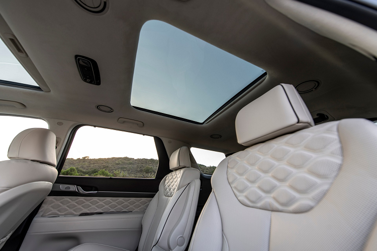 Vì bản Calligraphy được phát triển dựa trên bản Palisade Limited nên xe được trang bị màn hình cụm đồng hồ 12,3 inch, các ghế có sưởi và làm mát. Hàng ghế thứ 2 thiết kế kiểu thương gia, hệ thống âm thanh cao cấp Harman Kardon và màn hình thông tin giải trí 10,25 inch có chức năng định vị GPS