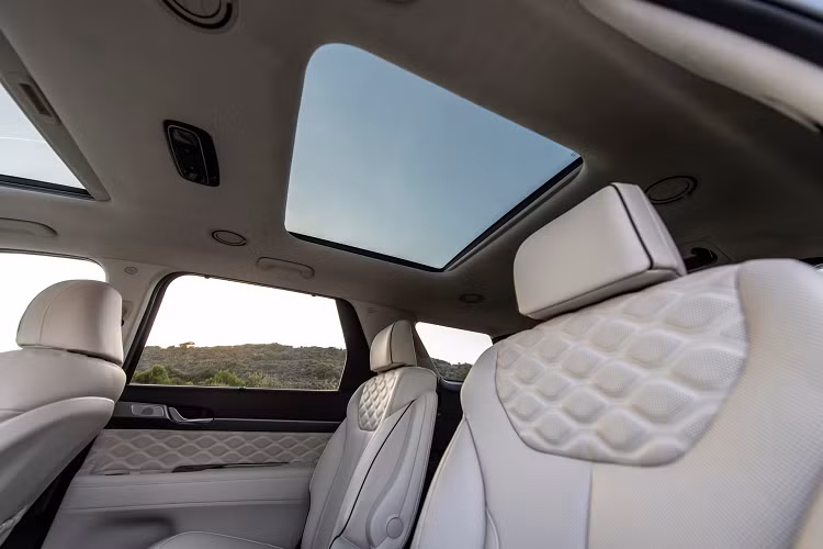 Vì bản Calligraphy được phát triển dựa trên bản Palisade Limited nên xe được trang bị màn hình cụm đồng hồ 12,3 inch, các ghế có sưởi và làm mát. Hàng ghế thứ 2 thiết kế kiểu thương gia, hệ thống âm thanh cao cấp Harman Kardon và màn hình thông tin giải trí 10,25 inch có chức năng định vị GPS