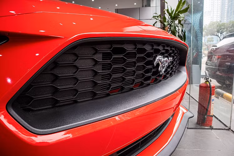 Theo tin tức ôtô, mới đây đại lý tư nhân tại Hà Nội đã nhập khẩu Ford Mustang Convertible 2020 trực tiếp từ thị trường Mỹ. Ford Mustang Convertible 2020 là đối thủ cạnh tranh trực tiếp với Chevrolet Camaro Convertible RS 2020 về Việt Nam cách đây không lâu và đã thuộc sở hữu của một đại gia Quảng Ninh.