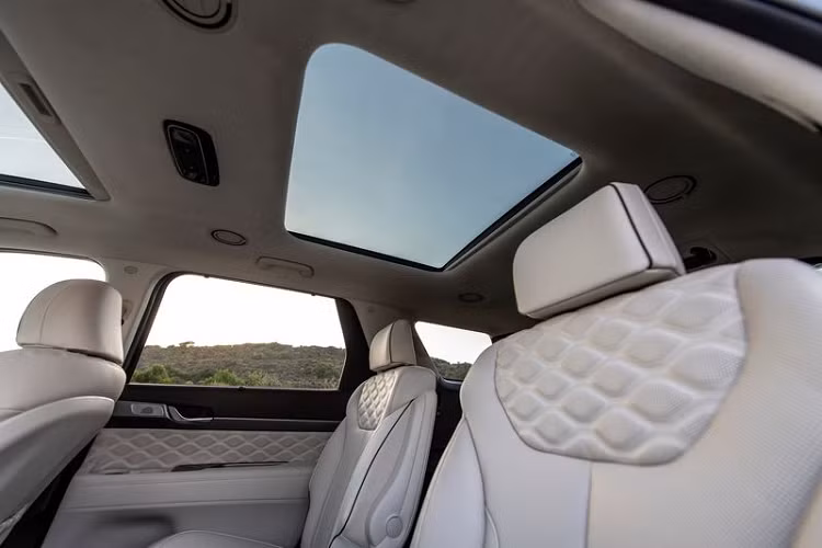 Sau khi Hyundai công bố giải pháp, nhiều chủ xe đã áp dụng thử nhưng nhiều người cho biết mùi hôi cuối cùng vẫn quay trở lại chiếc Hyundai Palisade. Về nguyên nhân việc Hyundai Palisade bốc mùi, Hyundai cho biết những thay đổi trong quy trình sản xuất tựa đầu ghế đã khiến da có mùi, ngay khi nhận được phản ánh hãng đã khắc phục điều này ngay trong quá trình sản xuất.