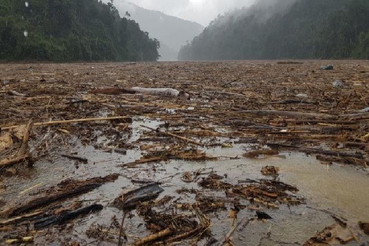 Nhiều khu vực, rác tràn ngập với độ dày lên tới 40 cm. 