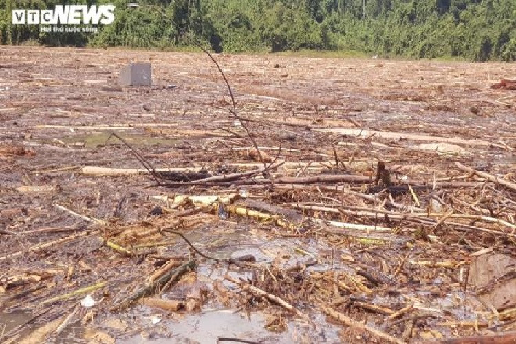 Tuy nhiên, do lượng rác phủ kín mặt sông nên việc tìm kiếm gặp vô vàn khó khăn.