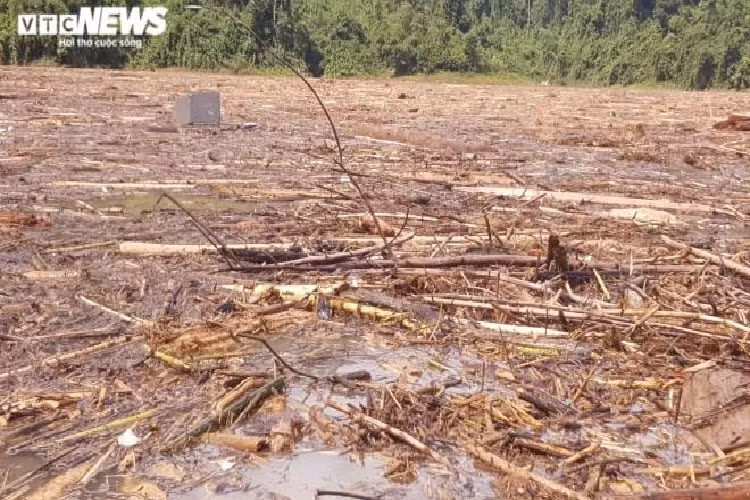 Tuy nhiên, do lượng rác phủ kín mặt sông nên việc tìm kiếm gặp vô vàn khó khăn.