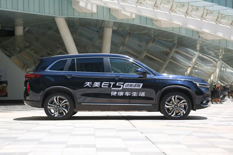 Một cổ đông lớn khác là Nanjing Jintong, một nhà sản xuất xe buýt có tiếng và cũng là đơn vị chịu trách nhiệm sản xuất các xe mang thương hiệu Skywell. Skyworth sẽ có vai trò cung cấp hệ thống kết nối và thông tin giải trí cho các xe Skywell. Hệ thống này được gọi là Skylink.