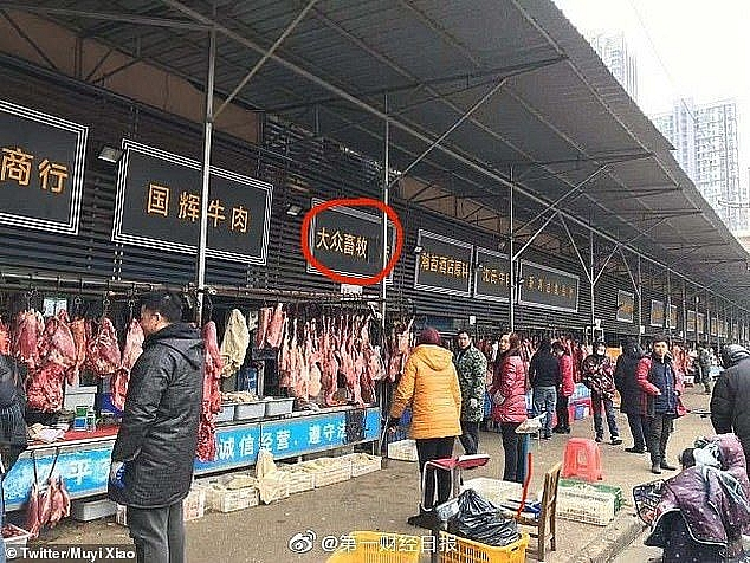 Xem khu cho o Vu Han – noi phat tan dich benh do virus corona ra