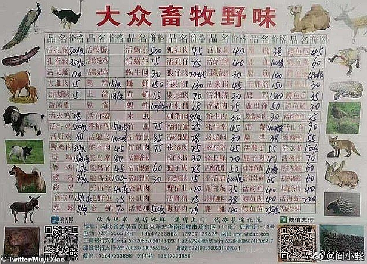 Xem khu cho o Vu Han – noi phat tan dich benh do virus corona ra-Hinh-2