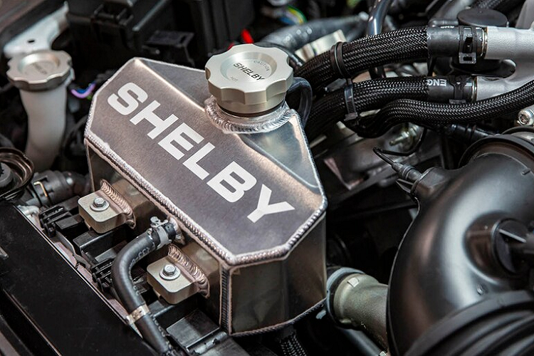 Gary Patterson, chủ tịch của Shelby American cho biết: Cả Ford Shelby GT350 và Shelby GT500 đều là những chiếc xe thể thao đẳng cấp thế giới với hiệu năng đáng nể.