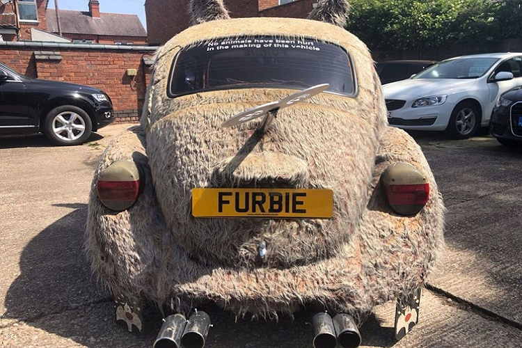 Gác lại những lời nói đùa, nhìn chung người bán xe đã hết lời ca ngợi chiếc xe của mình với mong muốn mau chóng tìm được một người mua. Ngoài khả năng giữ ấm cho người ngồi trong mùa đông, Furbie cũng không làm người mua cạn ví vì nó vốn là một chiếc xe cổ Volkswagen Beetle nên không phải chịu các loại thuế liên quan.