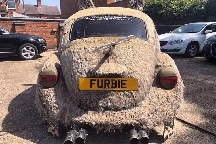 Gác lại những lời nói đùa, nhìn chung người bán xe đã hết lời ca ngợi chiếc xe của mình với mong muốn mau chóng tìm được một người mua. Ngoài khả năng giữ ấm cho người ngồi trong mùa đông, Furbie cũng không làm người mua cạn ví vì nó vốn là một chiếc xe cổ Volkswagen Beetle nên không phải chịu các loại thuế liên quan.