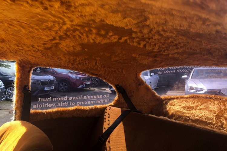 Thật khó có thể tranh cãi với những lời lẽ trên, thế nhưng người chấp nhận bỏ tiền mua xe sẽ cần có thêm một khoản dự trữ cho các hoạt động bảo dưỡng mới ví như ghé thăm… bác sĩ thú y, trải lông và luyện tập. Đừng quên những công việc nuôi dưỡng vất vả khác như “mua thức ăn cho chó”, và thi thoảng kiểm tra bắt rận.