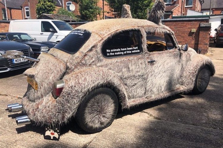 Như thấy ở hình, ta có thể thấy chủ nhân của chiếc xe đã quyết định rằng nó không đủ dễ thương khi rời khỏi nhà máy Wolfsburg, vậy nên nhất chí mang tới cho một diện mạo mới. Sau khi bao phủ chiếc xe từ trong ra ngoài với “lớp lông giả”, chiếc Beetle cổ điển được nhận một biệt danh mới là “Furbie” – một cái tên phù hợp cho một thứ lai tạp giữa xe và chó.