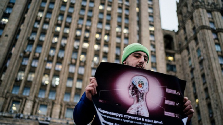 Viem phoi do virus corona khien the gioi hoang so ra sao?-Hinh-9