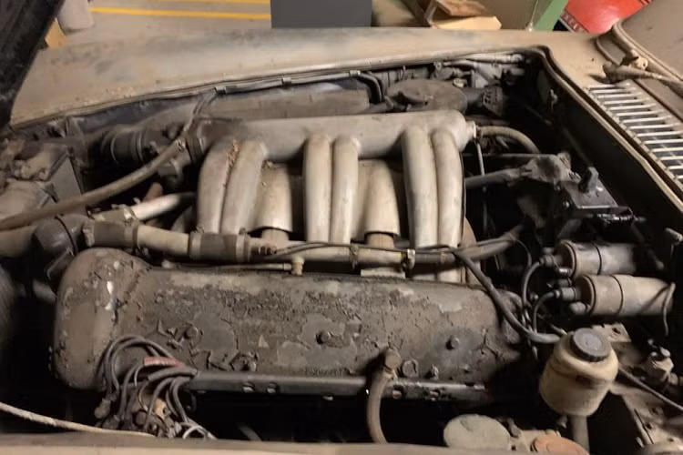 Mercedes-Benz 300 SL sử dụng khối động cơ M198 6 xilanh thẳng hàng dung tích 3.0L, sản sinh công suất cực đại 243 mã lực cùng mô men xoắn tối đa 294 Nm. Xe sử dụng ly hợp khô đĩa đơn cùng hộp số sàn 4 cấp. 300 SL có khả năng tăng tốc từ 0 lên 100 km/h trong 9,3 giây trước khi đạt vận tốc tối đa 263 km/h, là thành tích cao nhất lúc bấy giờ.