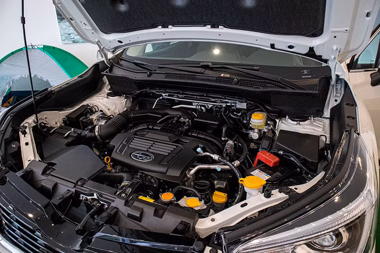 Khoang nội thất trên Forester mới vẫn "khá Subaru" khi táp-lô xe vẫn có màn hình hiển thị camera, các thông số mà chưa được tích hợp vào màn hình giải trí. Bảng táp-lô trên Subaru Forester 2020 sử dụng vân carbon giả ở phía hành khách trước mang đến nét tươi mới so với với đời cũ. Với mức tiền trên 1 tỷ đồng, xe vẫn được trang bị hệ thống ghế ngồi bọc da có lỗ thông khí, ghế trước chỉnh điện 8 hướng ở cả 2 vị trí.