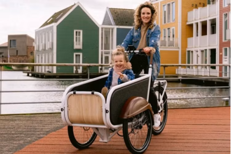 Xe dap dien 3 banh kieu xich lo Viet, hon 117 trieu dong