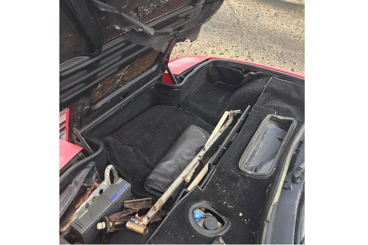 Ratarossa sau đó đã tìm thấy chiếc siêu xe Ferrari F40 nhưng lại không thể mua về để phục chế vì chủ sở hữu ra giá quá cao. Do đó, Ratarossa tiếp tục tìm kiếm một chiếc siêu xe Ferrari khác để phục chế, đó chính là chiếc Testarossa bị bỏ rơi tại Puerto Rico. Không rõ gì lý do gì, chiếc Ferrari Testarossa này lại bị vứt bỏ bên ngoài ngôi nhà trong suốt thời gian 17 năm. Trong suốt thời gian ấy, người chủ chưa từng một lần khởi động chiếc siêu xe này.