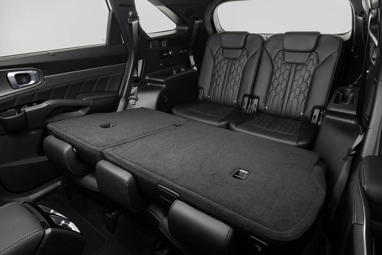 Đây cũng là là chiếc Kia đầu tiên tích hợp tính năng Kia Pay, cho phép người dùng dễ dàng thanh toán qua màn hình giải trí tại các trạm xăng hay các bãi xe. Ngoài ra còn có chế độ xem 360 độ từ xa bằng điện thoại thông minh hay qua màn hình, hóa kỹ thuật số Kia Digital Key hay sạc không dây.